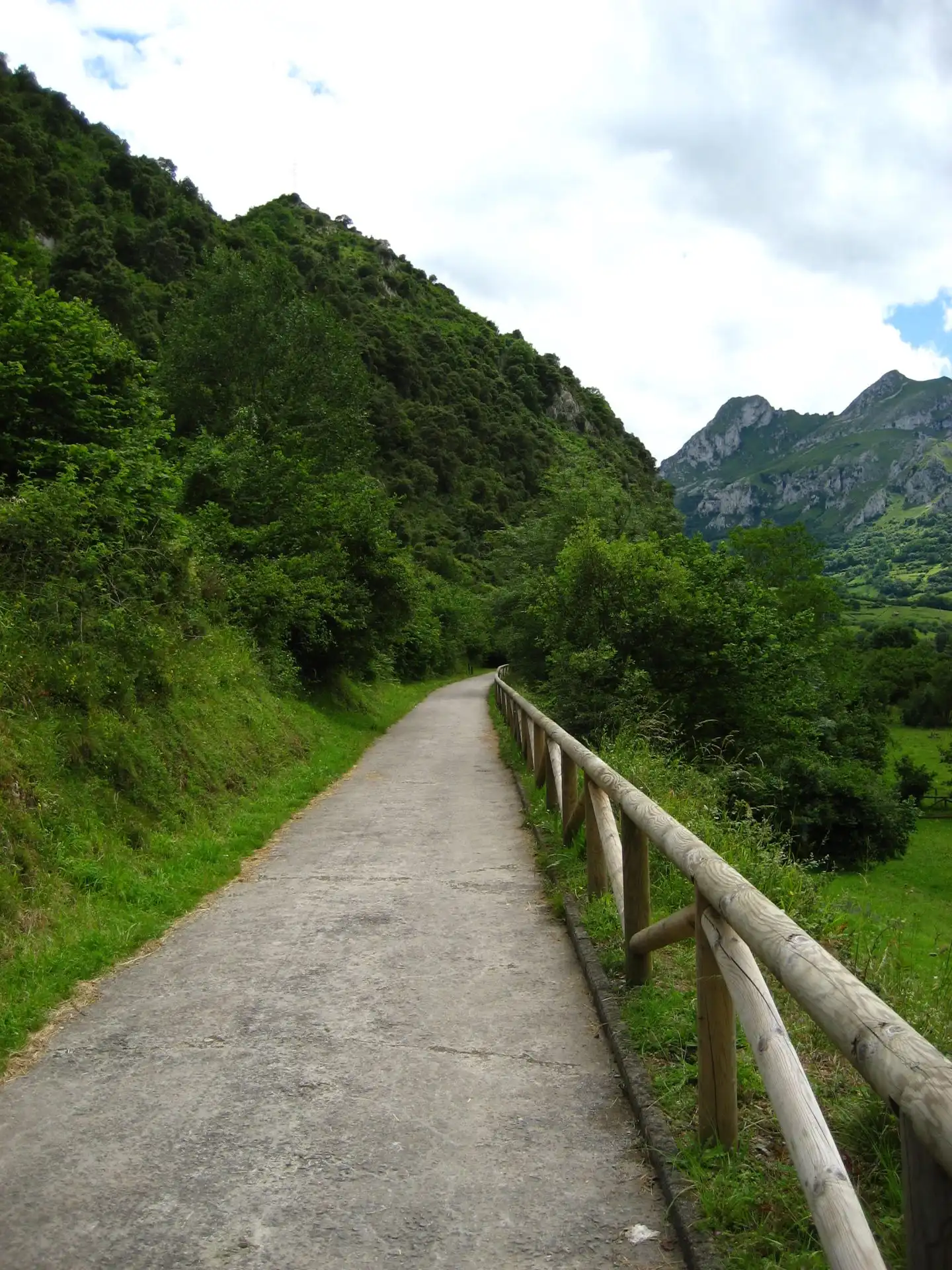 Vistas panorámicas inolvidables en bicicleta por la Senda del Oso Asturias